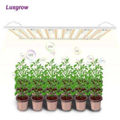 China Seed Starting Luxgrow Flower Blossom Grow Light Bars 1500W 1000W LED Indoor Plants 480W 720W 600W 800W 12 Full Spectrum LED Grow Light Dimmable for sale