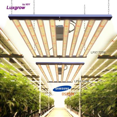 China Seed Seed Indoor Flower Plant Grow Lights 6 Bar 8 640 700 720 Watt Lm281b Samsung Lm301b 640w 800w 600w LED Grow Light 720w Foldable for sale