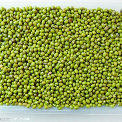 China Canned Peas Canned Fresh Beans In Brine Canned Food Canned Vegetable for sale