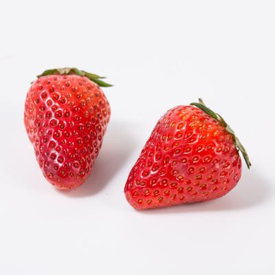 China Canned healthy and natural canned fruits canned new strawberry crop for sale