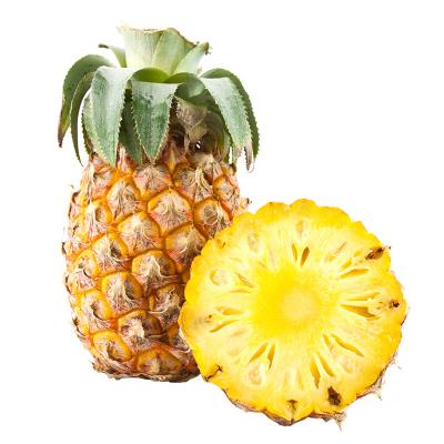 China Automatic Customized Canned Canned Pineapple Food Production Line for sale