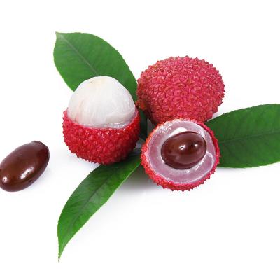 China Canned Steamed Processing Sweet Wholesale Cheap Price Lychee Flavor Healthy Peeled Fruit Canned Type Exporter for sale