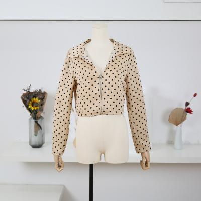 China 2021 New Design Fashion Anti-wrinkle Long Sleeve Stitch Zipper Lapel Coat Jacket for sale