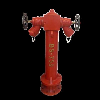 China Factory Wholesale OEM Ductile Iron Outdoor Water Pillar Type Foam Mix Fire Hydrant With Valve for sale