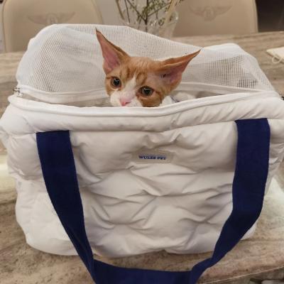 China China Portable Breathable Messenger Pet Carrier Bag Dog Bag Sleeping Bag Plush Boat Custom Viable Travel Dog Bed for sale