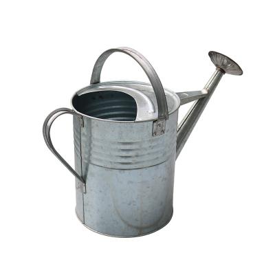 China Garden Watering Tools 2 Gallon Metal Stainless Steel Tin Watering Can Solar Watering Can for sale