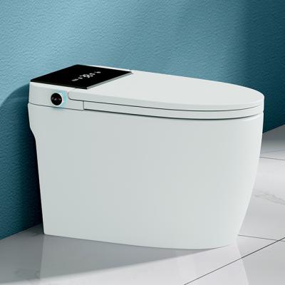 China Intelligent Double-flow sensor auto flush light remote control passionate inodoros smart toilet with warm seat for sale