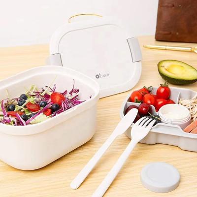 China Multifunctional Rectangle Eco BPA Free Plastic Salad Fridge Storage Container with Bag for sale