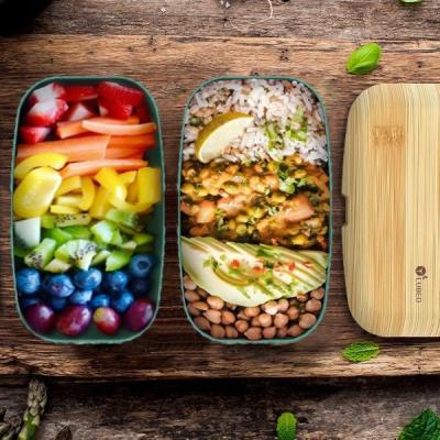 China T119A  Eco Friendly Bamboo Yumbox with Leakproof  Cutlery 201*125*125mm for sale