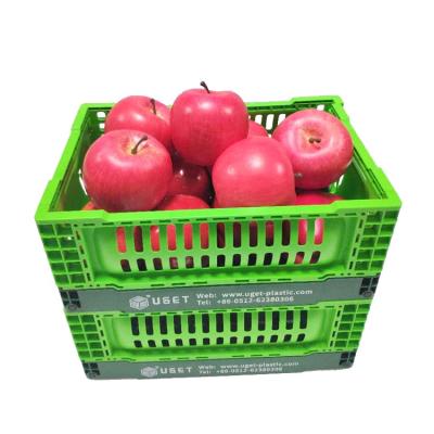 China Customized Mesh New Collapsible Plastic Storage Crate , Recyclable Plastic Folding Crate for sale