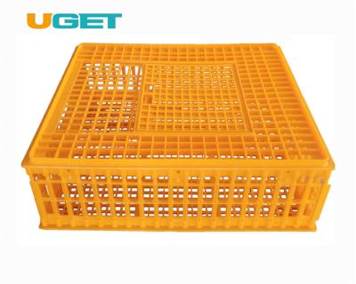 China Clear Chicken / Bird / Duck Plastic Handles Corrugated Boxes Poultry Chicken Transport Egg Crate for sale