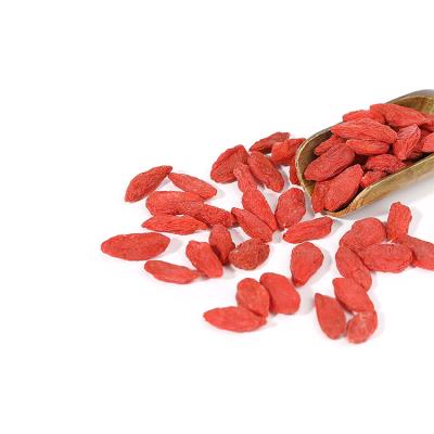 China High Quality Traditional Chinese Herb Edible Dried Fruit Dried Goji Berry 560pills for sale