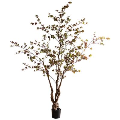 China Artificial Japanese Bell Tree Bonsai Large Dining Room Green Plant Indoor Plant for sale