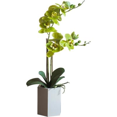 China Minimalist Bonsai Plants Phalaenopsis Decoration Artificial Pot For Simulation Plastic Flower Plants Decoration Artificial Flower for sale