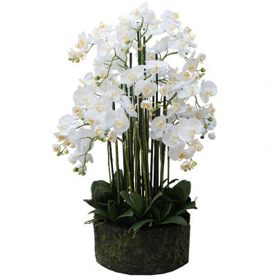 China Art Decor Pots for Bonsai Plants Large Phalaenopsis Artificial Flowers Natural Floor Decoration for sale