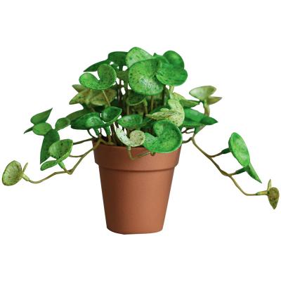 China Artificial Small Dill Bonsai Plants Indoor Decoration Modern Green Artificial Monstera Small Potted Plants for sale