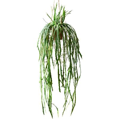 China Modern Artificial Potted Plants Decoration Wall Hanging Green Plant Indoor Hanging Plant for sale