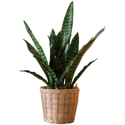 China Modern Artificial Sansevieria Indoor Golden Edge Plastic Decoration Potted Artificial Plant for sale