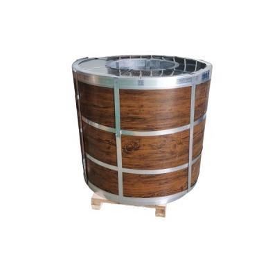 China WALL EVEREST 3D design new design ppgi wooden coil steel for sale