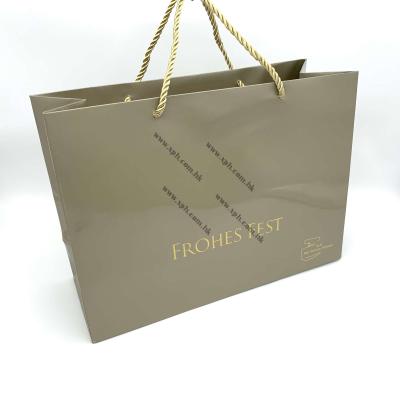 China Shopping Bag Custom Size Luxury Paper Gift Package Bag , OEM Available for sale