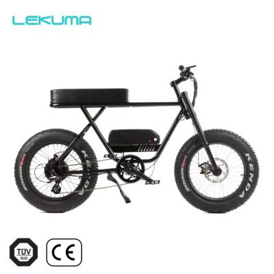 China Aluminum alloy big power 750W 48v fat tire ebike for sale