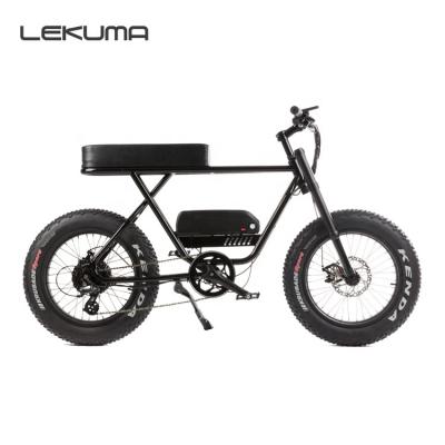 China Aluminum Alloy Fat Tire 250w/500W Electric Bicycle for sale