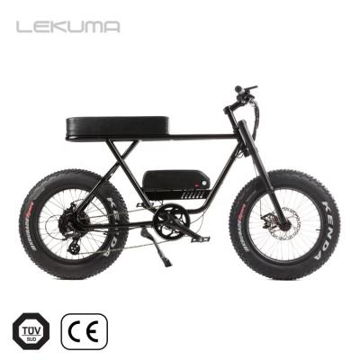 China special big tire snow bafang aluminum alloy design electric bike for sale