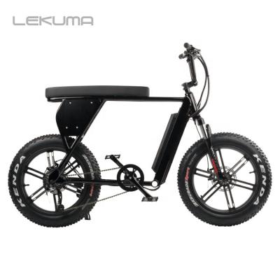 China Special Custom Aluminum Alloy 500W 9speed Fat Tire Ebike for sale