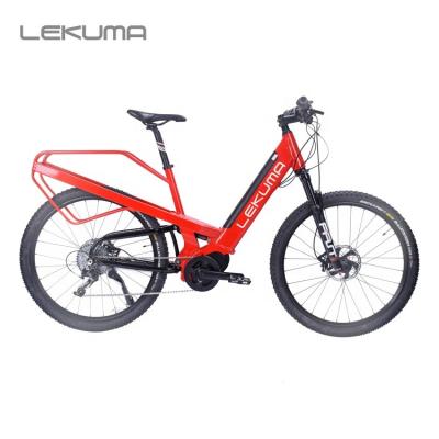 China New design 48v aluminum alloy hid battery 11.6ah 10 speed trekking ebike for sale