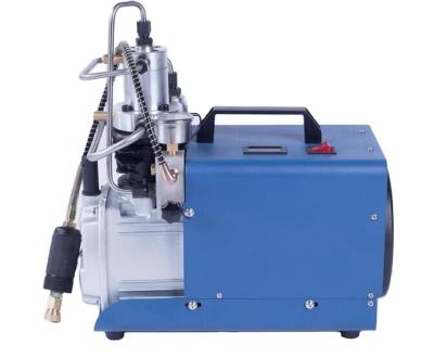 China DC PCP Electric Compressor Lubricated Portable Air Compressor 4500psi Air Compressor for sale