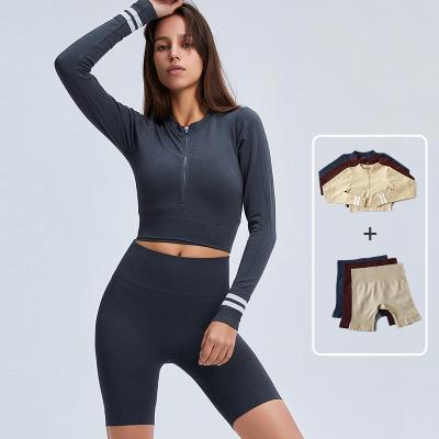 China TZ2900 Women Breathable Seamless Yoga Sleeve Zipper Jacket Squatproof Long Workout Biker Shorts High Waist Gaiters 3 Piece Set for sale