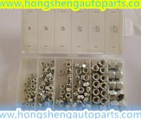 China (HS8079)75 NYLON NUTS FOR AUTO HARDWARE KITS for sale