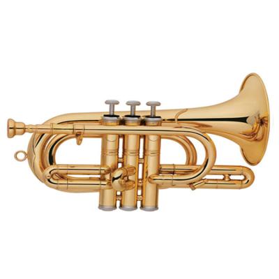 China GOLD LACQUER CORNET C STYLE OEM MAIN WHOLESALE GOOD NEWS for sale