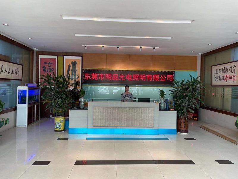 Verified China supplier - Dongguan Mingpin Photoelectric Lighting Co., Ltd.