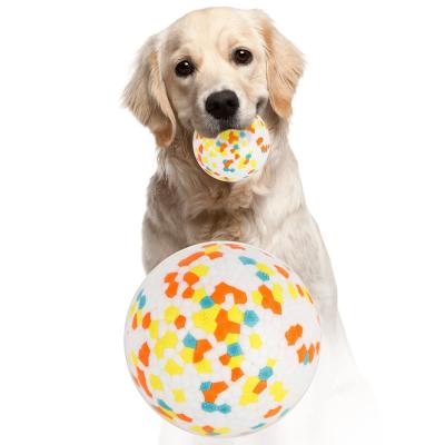 China Hot Sale ETPU Sustainable High Elasticity 2 Size Easy To Clean Food Grade Non-Toxic Bite Resistance Dog Ball Chew Toy for sale