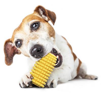 China Hot Sale TPR Vocalization Tooth Dog Simulated Corn Chew Viable Rubber Floating Cleaning Toy With Rope Sucker for sale