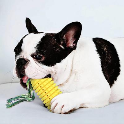 China Hot Sale TPR Vocalization Simulated Tooth Dog Simulated Corn Squeaker Viable Rubber Floating Cleaning Toy With Rope Sucker for sale