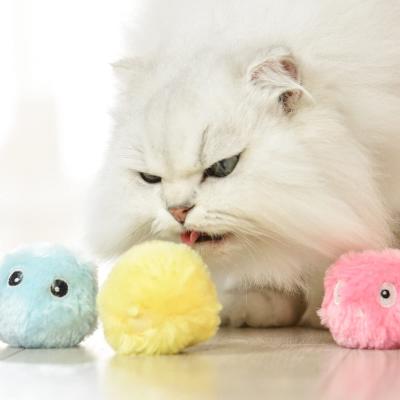 China Realistic Stuffed Plush 3 Animal Viable Hot Sale Chirping Not Easy To Throw Pet Cat Toy Ball Mint Molar Bite Hair Resistance for sale