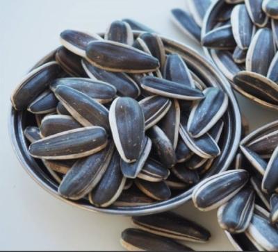 China Dried Sunflower Seeds 363 Raw Chinese Wholesale Inner Mongolia Best Quality Cheap Price Export Factory for sale