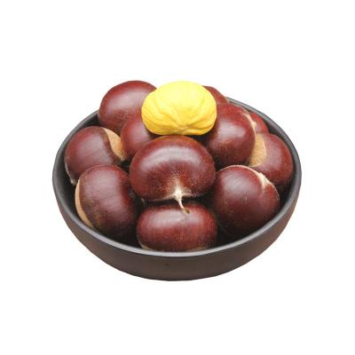 China New Fresh Organic Roasted Chestnut Peeled Fresh Raw Chestnuts Frozen Chestnut With High Quality for sale