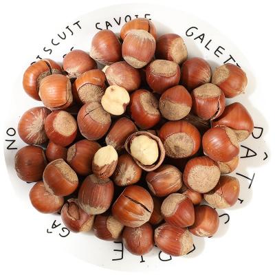 China Best Price Dry Hazelnut Product Indonesia Hazelnut Wholesale Hazelnut for sale