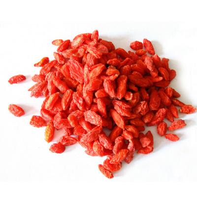 China High Nutrition Wholesale Organic Red Wolfberry Red Goji Berry Lycium Ruthenium Ningxia Berries Goji for sale