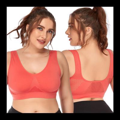 China Plus Size One-Piece Hot Selling Cavity Without Ring Sports Bra Top One-Piece Steel Adjustable Sports Bra for sale