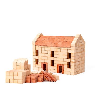 China DIY Practice Toys 2022 Reusable School Building Blocks Clay Small Bricks Building Toy Children Building Block Toys for sale