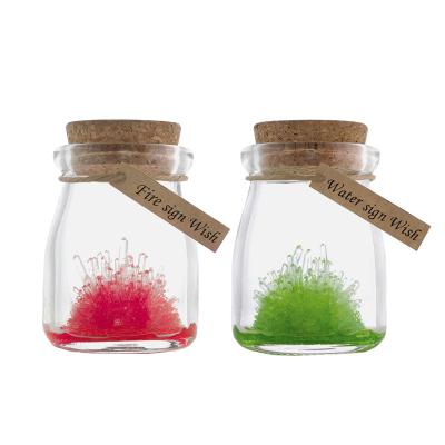 China Grow Creativity China Toy Plant Crystal Growing Experiment Kit To Encourage Children To Grow Their Own Crystals Starting Crystal Kits for sale