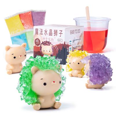 China Grow Creativity Assorted Color Crystal Growing Lion Kids Arts Open Crystal Growing Kit Lion Crystal Growing Lion Kit STEM Experiment Kits for sale