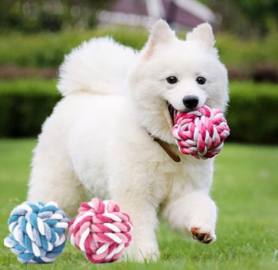 China Sustainable Rope Ball Pet Toys New Dog Toy for sale