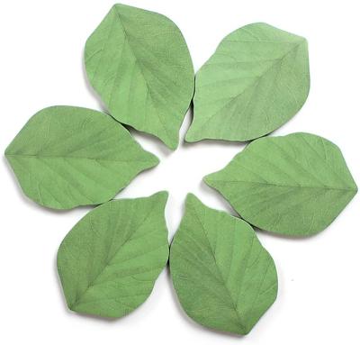 China Recyclable Leaves Leaf Notes Memo Pad Paper Sticky Sticker Pads for sale