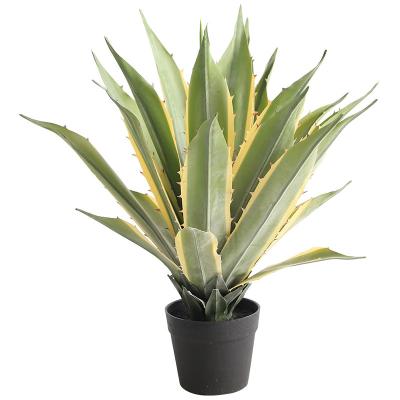 China Home.Party.Restaurant.Bar.Hotel Small Aloe Agave Wholesale High Quality Hot Sale Psammophyte Sisal Green Plant For Living Room Home Decor for sale