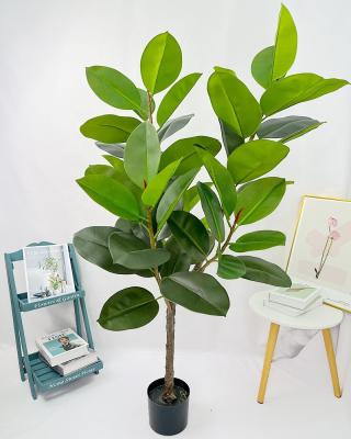 China Home.Party.Restaurant.Bar.Hotel Small High End Wholesale Hot Selling Green Plant Rubber Tree For Living Room Yard Home Decor for sale